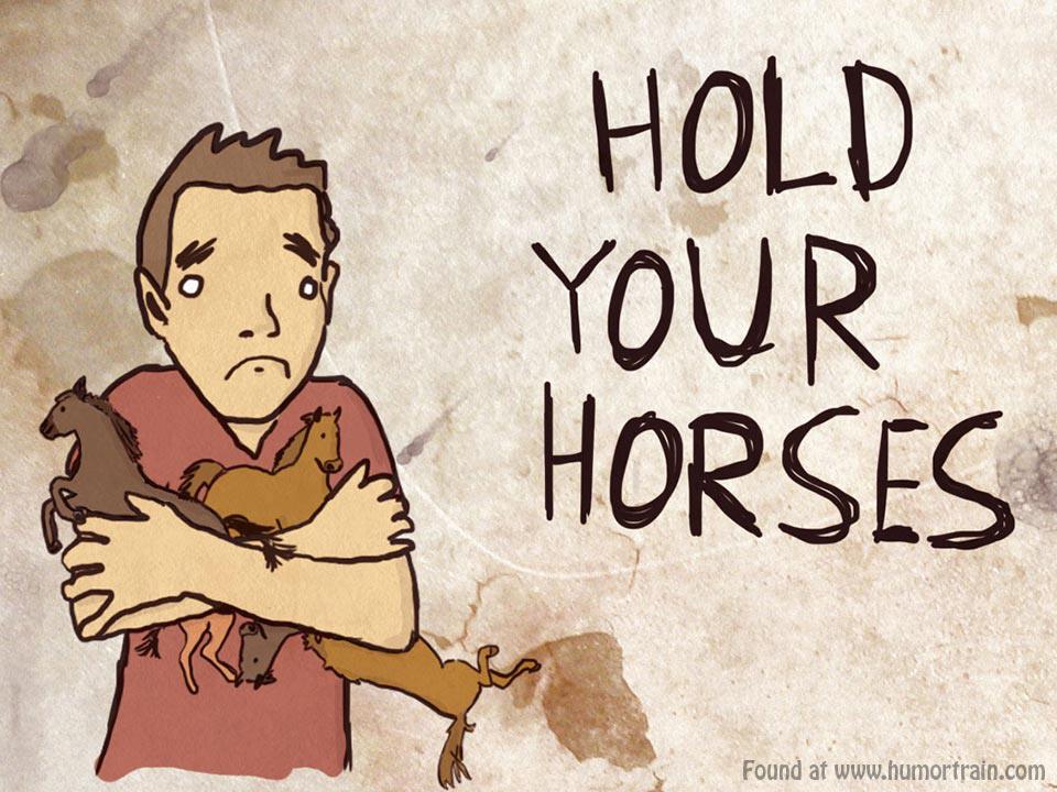 hold-yoir-horses.jpg